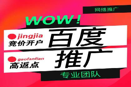 百度推广排名案例报告：某行业巨头如何运用其占领市场高地